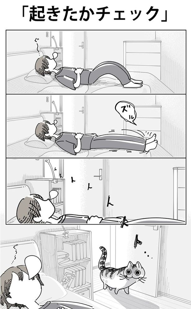 「起きたかチェック」01 画像提供：キュルZ@kyuryuZ