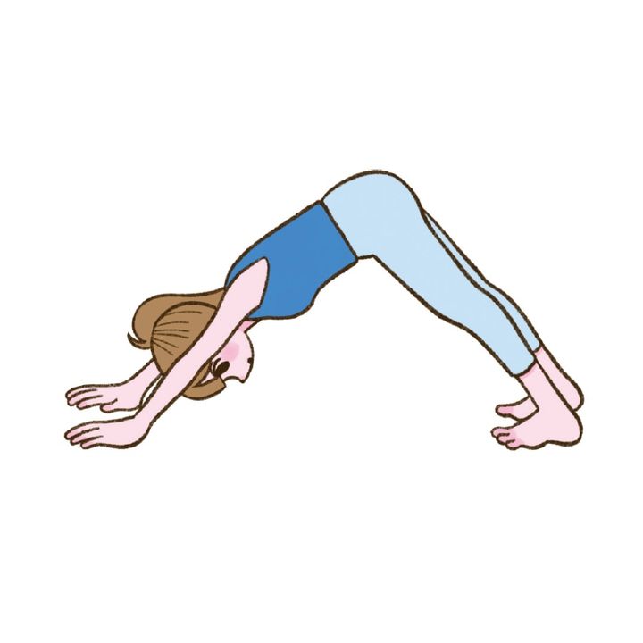 つま先を立て両手で床を強く押し、お尻を一気に持ち上げる。肩をぐっと下げ首を長くして5秒キープしたら四つん這いに戻り息を整える。3セット。