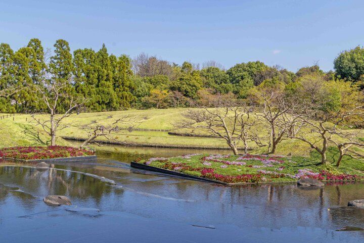 京都・梅小路の緑あふれる「BOTANIQ KAJIYA」で、花びらをまとったフレンチトーストを