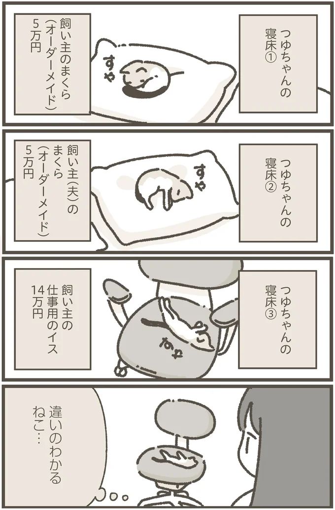 16124232.webp