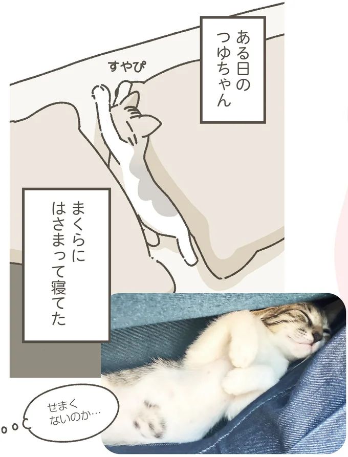 16124231.webp