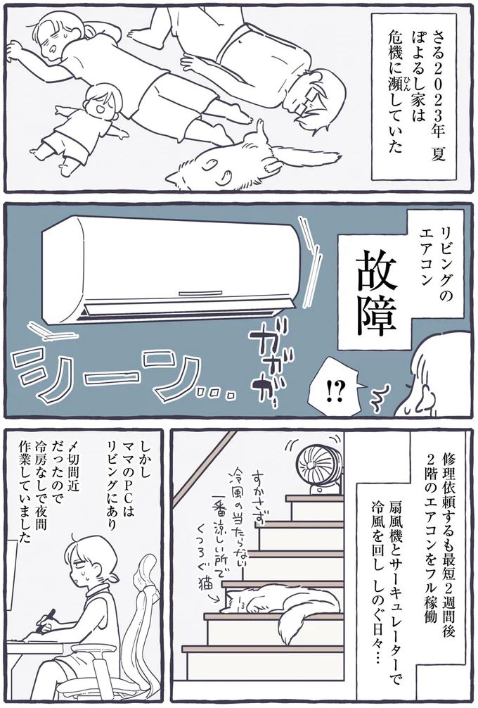 481.webp
