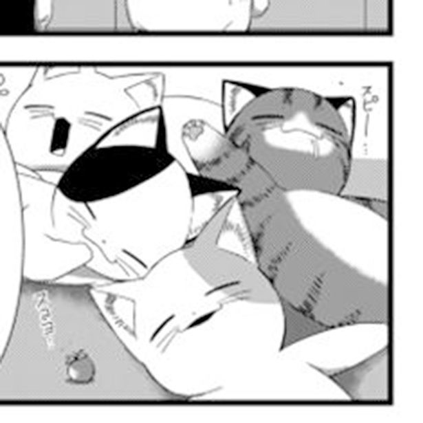 「猫の手も借りたい政策」とは!?