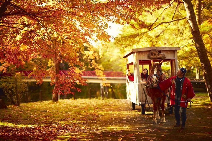「紅葉りんご馬車」は1日５回運行。公式サイトから３日前までに要予約