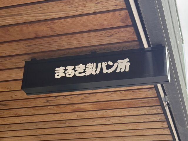  (309246)