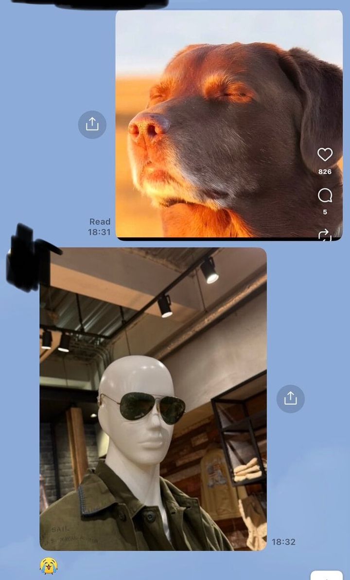STANFORD所属のモデル・デイビスの好きなもの②Meme