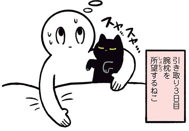 3日目で腕枕を所望するねこ （C）AKR／KADOKAWA