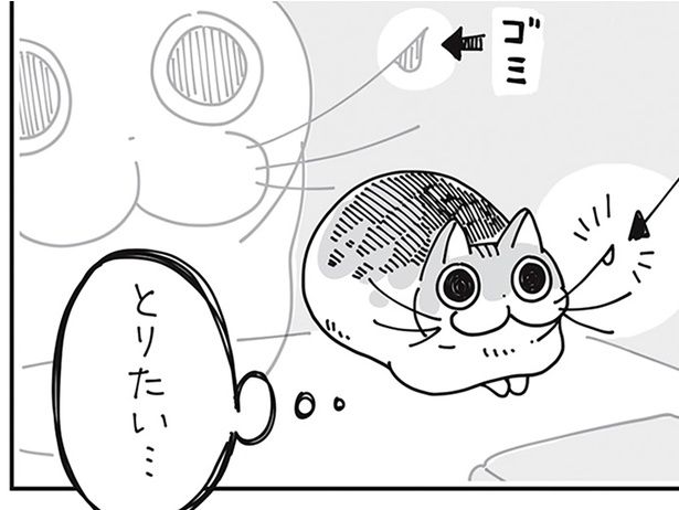 とりたい… （C）キュルZ／KADOKAWA