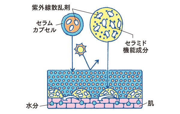 紫外線散乱剤を包み込んだセラムカプセルとセラミド機能成分のイメージ