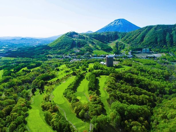 冬のゲレンデが、夏は緑の楽園に
