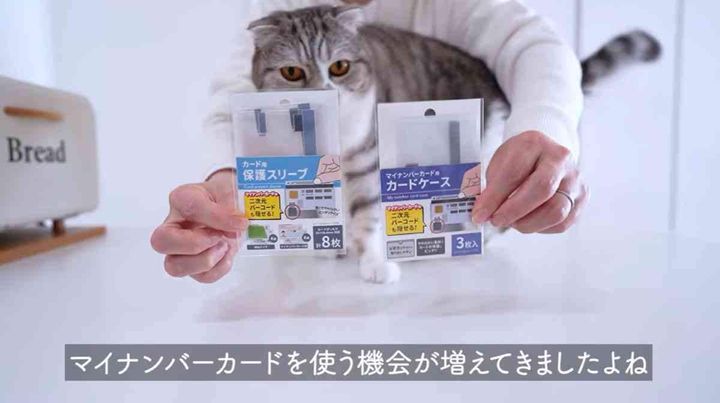 キャンドゥ┃カードケース