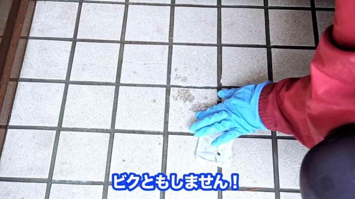 プロの玄関タイル掃除術