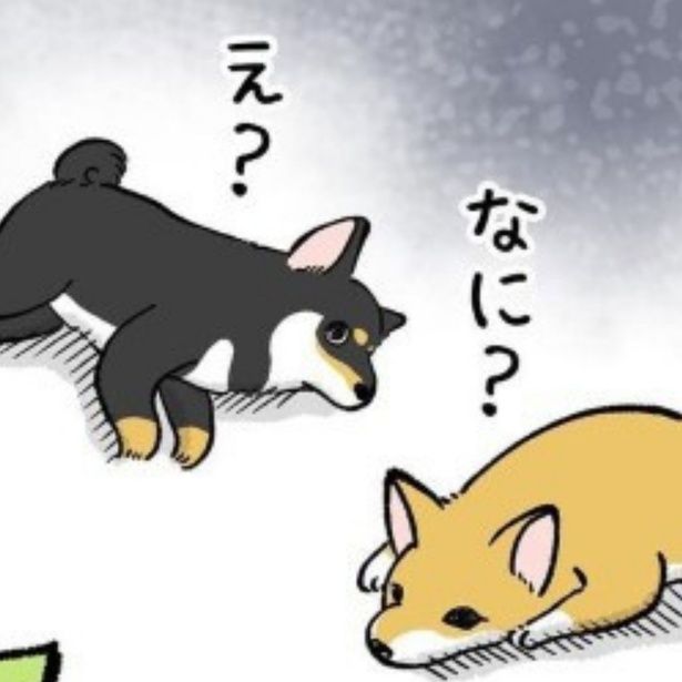 フィーバータイム終了… ユウコトリトリ(@yuko_toritori)