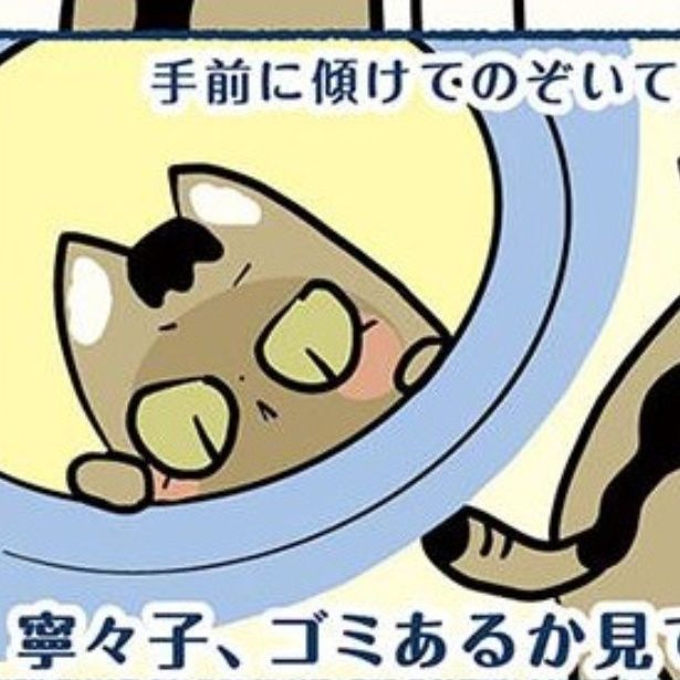 寧々子成長日記 取材協力：未来@猫と教育とアプリ制作(@MikiTainaka)