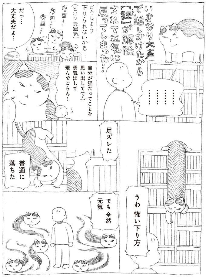 16108720.webp