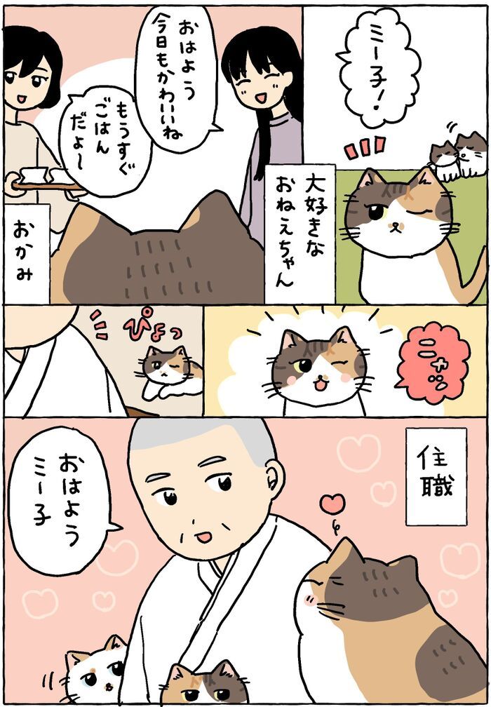 私たちはいつでもココで待ってるわ。【てらねこミー子の日常】