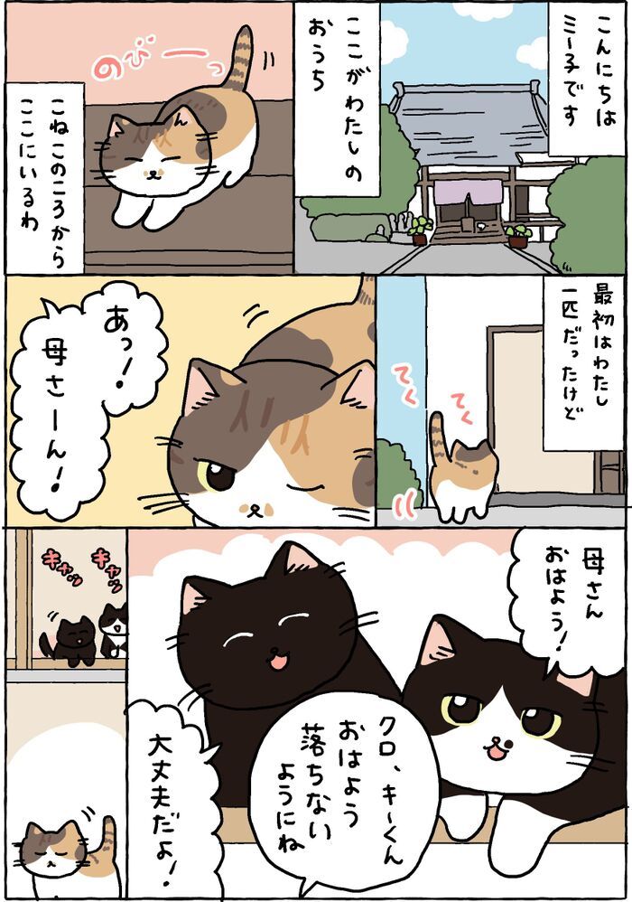 私たちはいつでもココで待ってるわ。【てらねこミー子の日常】