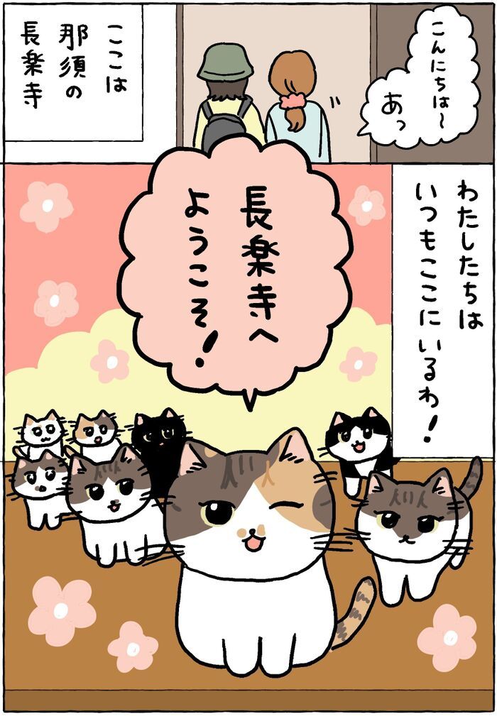 私たちはいつでもココで待ってるわ。【てらねこミー子の日常】