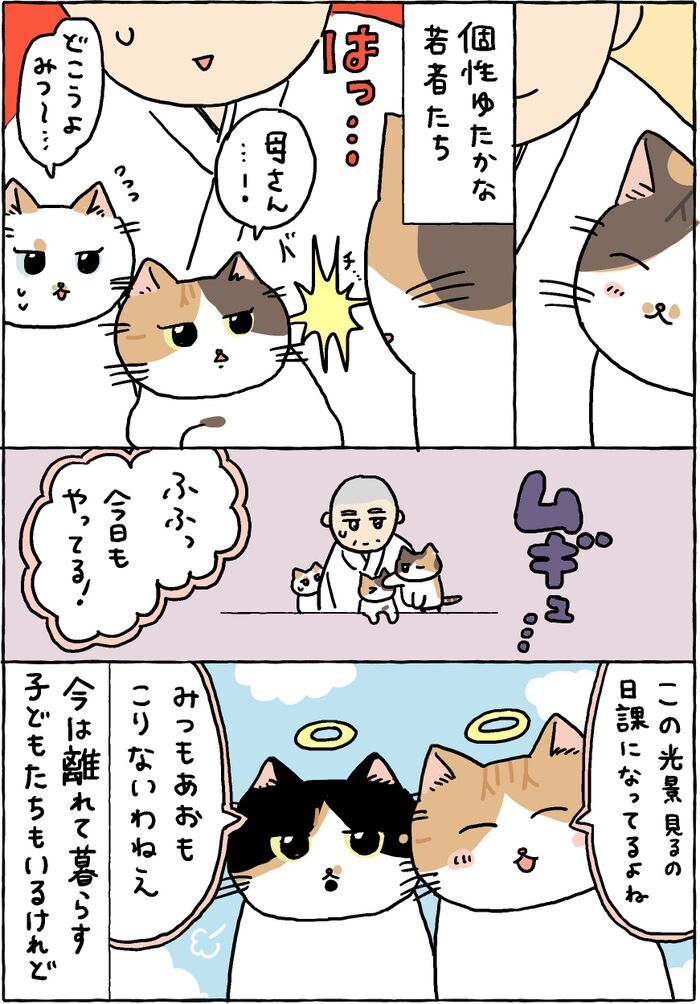 私たちはいつでもココで待ってるわ。【てらねこミー子の日常】