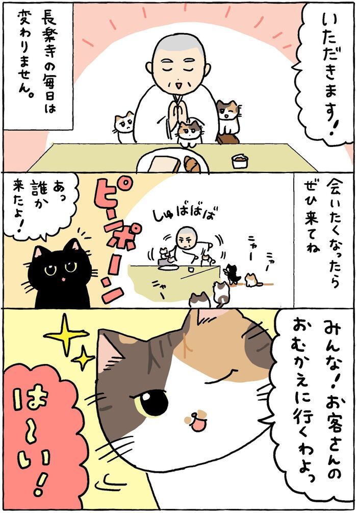 私たちはいつでもココで待ってるわ。【てらねこミー子の日常】