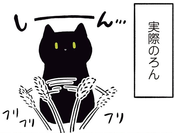 ねこじゃらしに興味がないろん （C）AKR／KADOKAWA