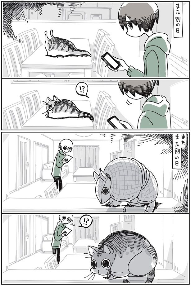 ナメ…アルマジロ…？ （C）キュルZ／KADOKAWA