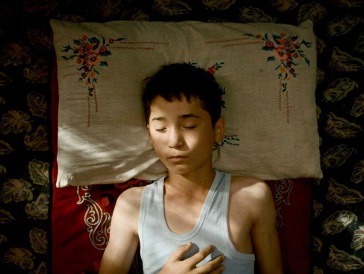 『ボタニスト 植物を愛する少年』は2026年5月15日より全国順次公開。©2025 MONOLOGUE FILMS ALL RIGHTS RESERVED / ReallyLikeFilms