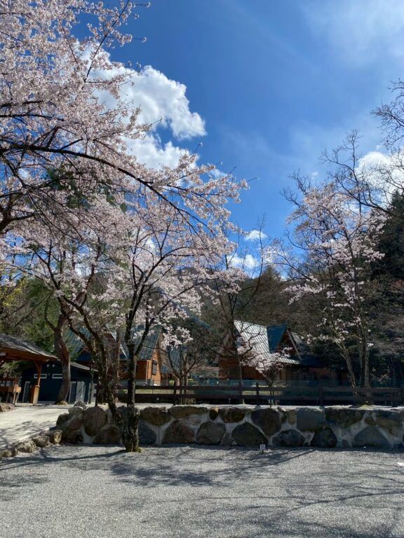 “四季を楽しむ篠沢大滝キャンプ場”キャンプの醍醐味すべてが揃う高原フィールド