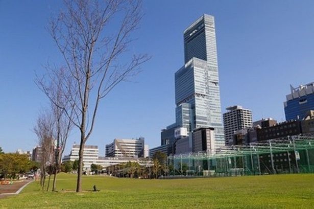 てんしばを中心に多彩な施設があり、子どもから大人まで楽しめる「天王寺公園」 画像提供：天王寺公園