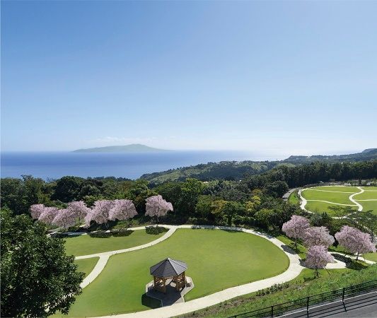 【静岡県伊東市】「はなうたガーデン-伊東-」で、春バラ見学会や写真教室・フォトコンテストを開催！