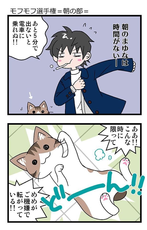 モフモフ選手権・朝の部。猫がごきげんで転がってる！