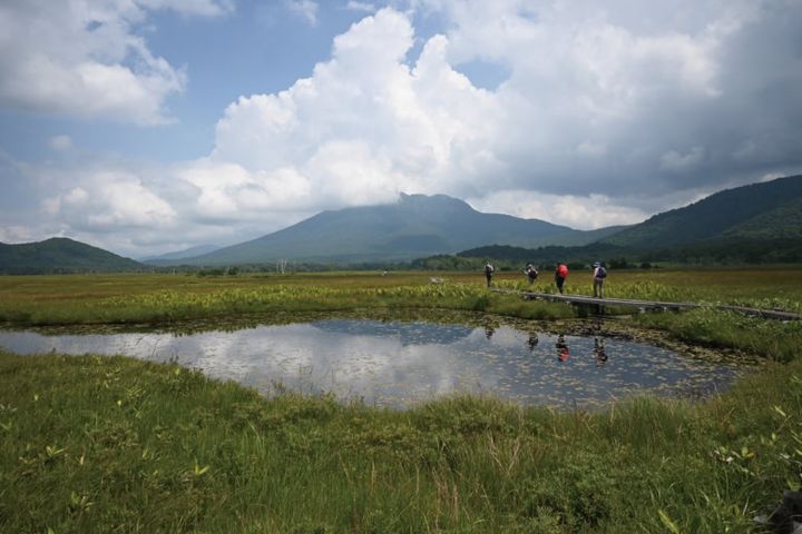 尾瀬国立公園