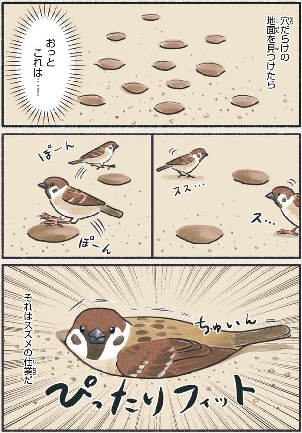 おっとこれは…！ （C）piro piro piccolo／KADOKAWA