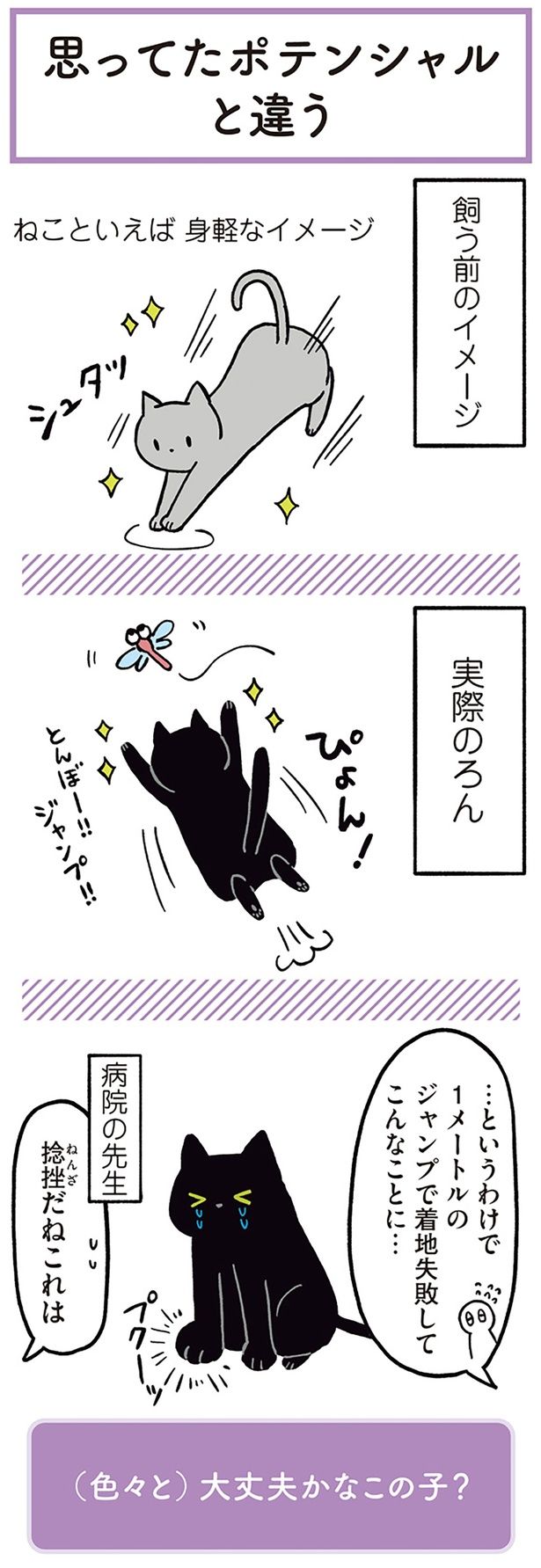ねこといえば身軽なイメージ （C）AKR／KADOKAWA