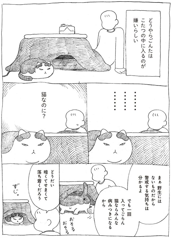16108714.webp
