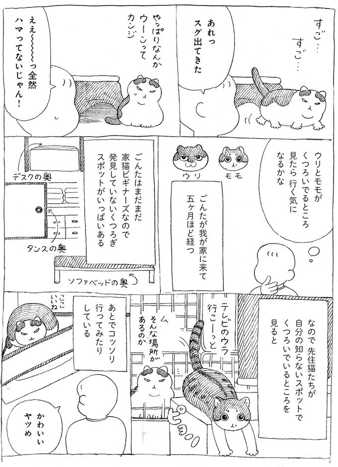 16108715.webp
