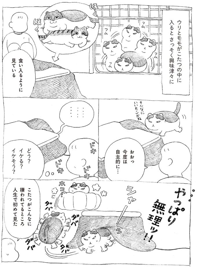 16108716.webp