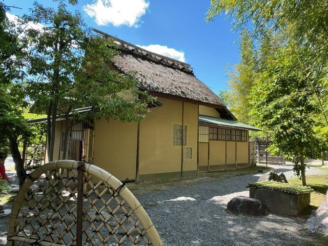  (309553)