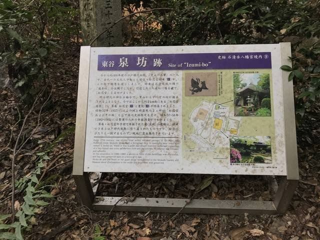  (309528)