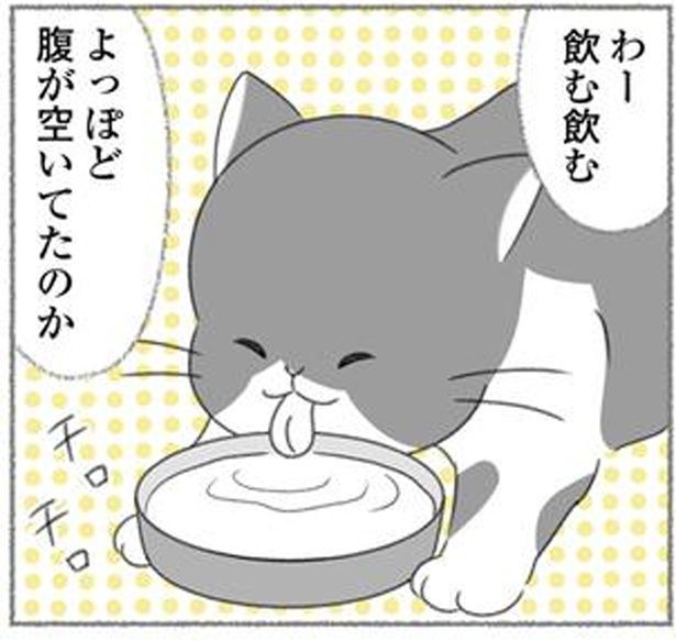 わー飲む飲む （C）ゆきよみ、にゃんかつ／KADOKAWA