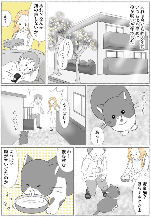猫の声しないか？ （C）ゆきよみ、にゃんかつ／KADOKAWA