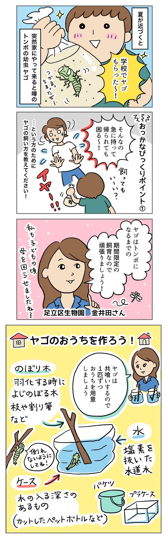 小学校のプール清掃で、ヤゴを持ち帰ってきた!? どうやって飼育したらいい？【マンガでわかる！おっかなびっくり飼育】の画像1