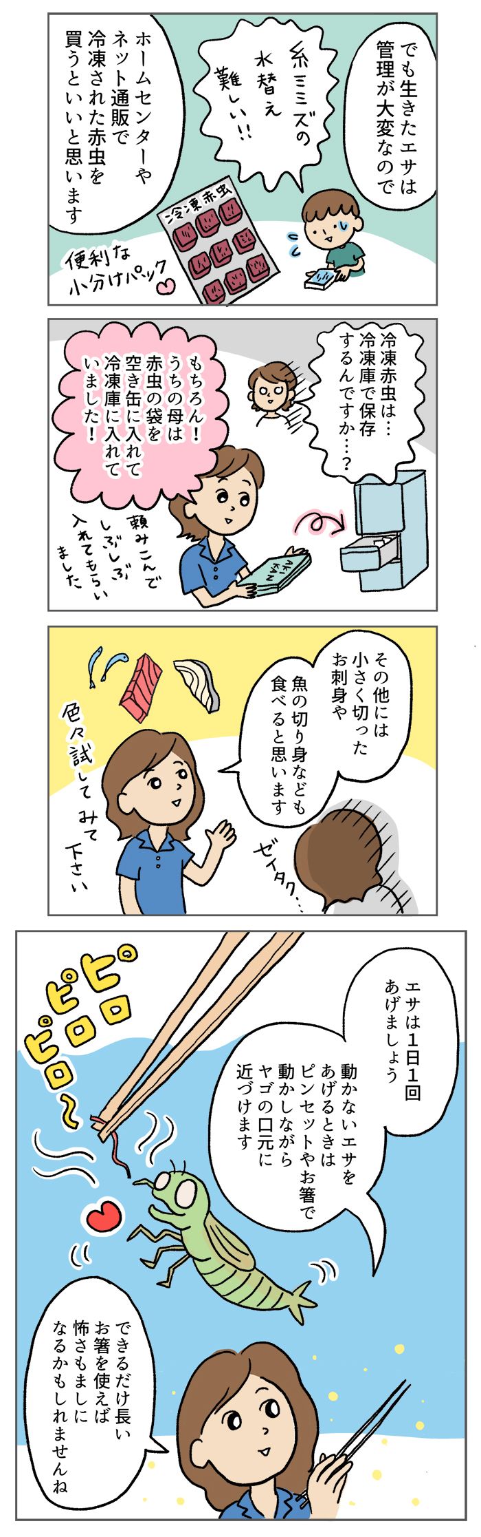 小学校のプール清掃で、ヤゴを持ち帰ってきた!? どうやって飼育したらいい？【マンガでわかる！おっかなびっくり飼育】の画像3
