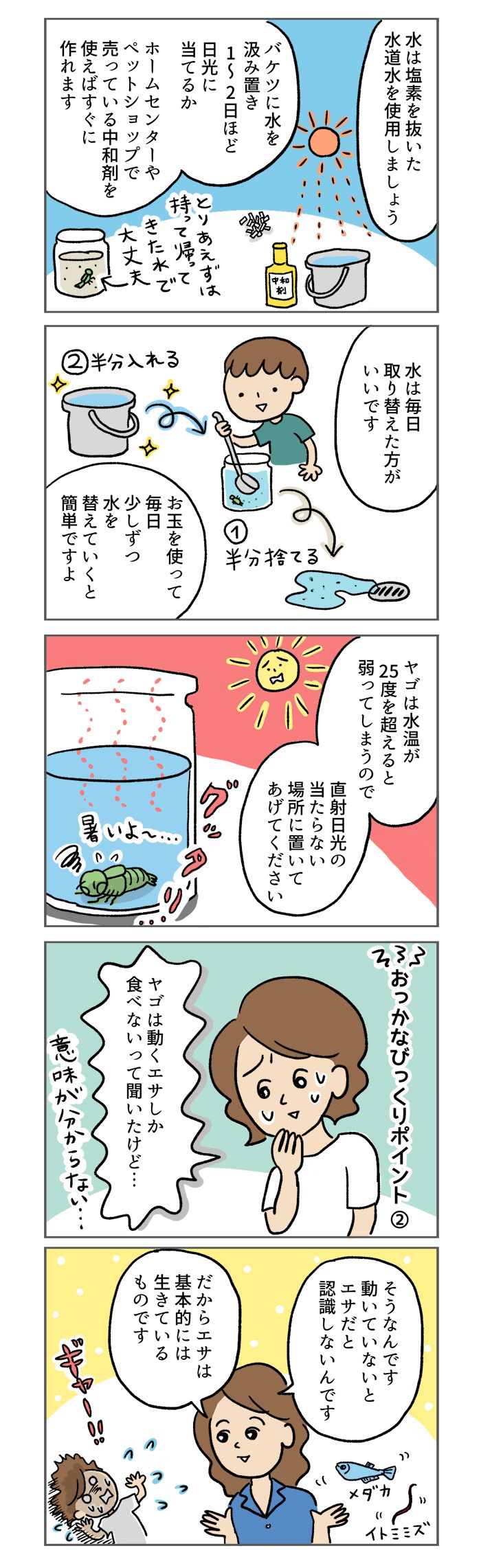 小学校のプール清掃で、ヤゴを持ち帰ってきた!? どうやって飼育したらいい？【マンガでわかる！おっかなびっくり飼育】の画像2