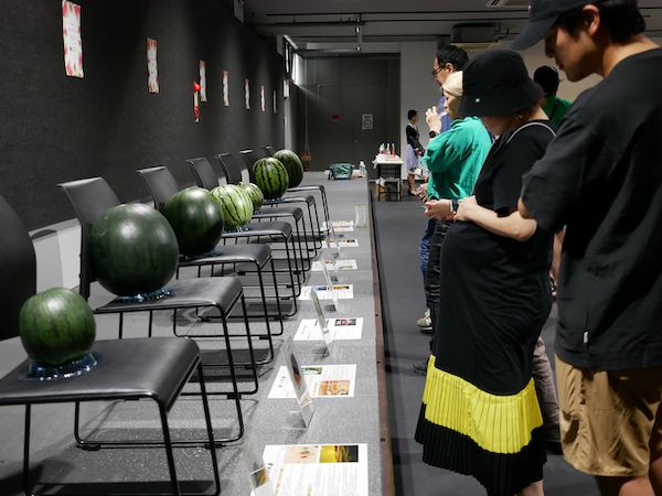 【東京都練馬区】スイカ農家と出会い食べ比べ。100玉以上が集結する「スイカパーティー2026」を開催