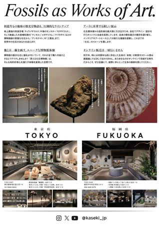 【東京都新宿区】博物館級の実物化石をアートとして提案・販売する「買える化石博物館 TOKYO」オープン