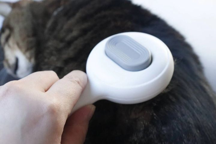 ダイソーのペット用プッシュブラシで猫のブラッシングをする様子