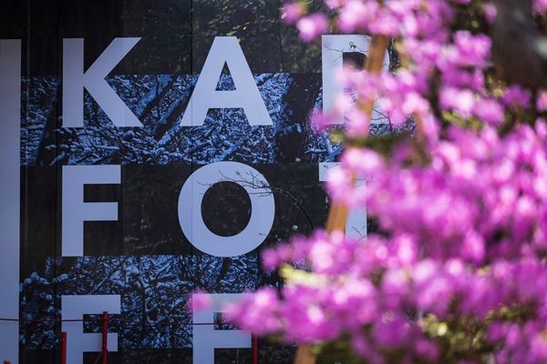 【長野県軽井沢町】森山雅智氏の作品を展示！軽井沢を愛する人々の写真展「KARUIZAWA FOTO FEST」が開催