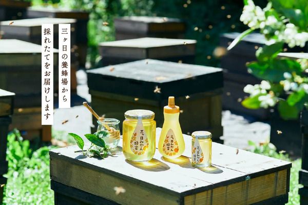 長坂養蜂場が、朝採れ生はちみつを瓶に詰めた「三ヶ日みかん蜂蜜(2026年新蜜)」販売