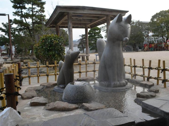 山口県山口市に位置する湯田温泉は、約800年の歴史を誇る名湯です。白狐が傷を癒したという伝説から「白狐の湯」とも呼ばれ、アルカリ性の柔らかなお湯は美肌効果が高いことで有名。歴史の面影が残る温泉街で、足湯巡りや美食を心ゆくまで堪能できます。
